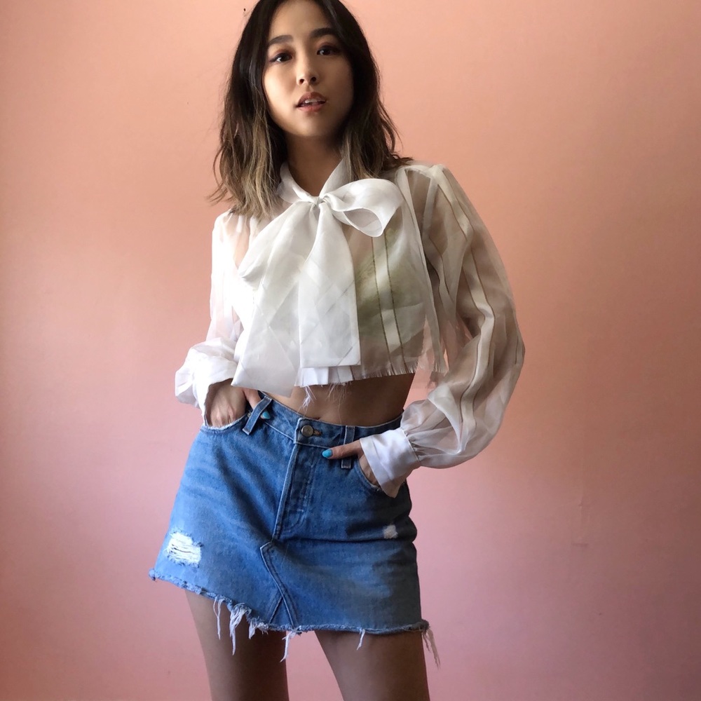 Vintage Semi Sheer Stripe Crop Blouse